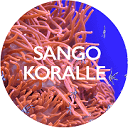 sangokoralle