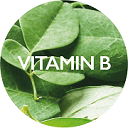 vitaminb